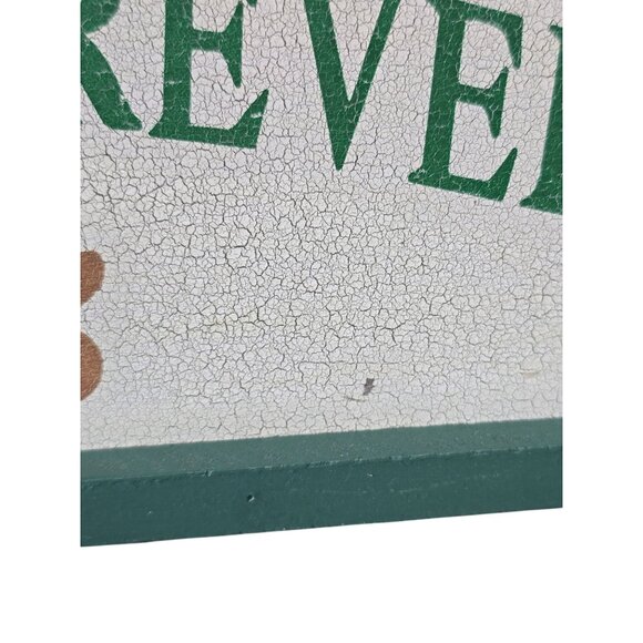 Families Are Forever Decorative Wooden Wall Plaque Green - Picture 10 of 10